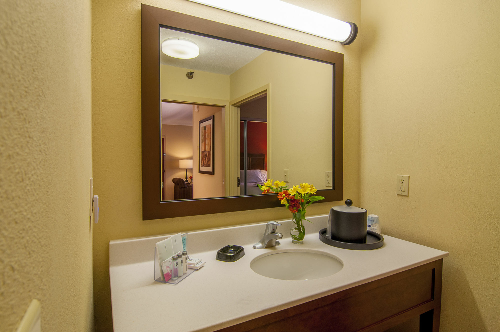 Hampton Inn & Suites Tampa-North Exterior photo